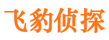 临颍外遇出轨调查取证